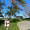 Tule Elk Reserve State Natural Reserve gallery