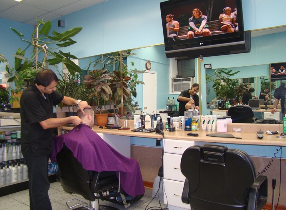 Pro Barber Shop - New York, NY