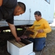 Safe & Alive Bee Hive Removal