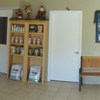 Wilmington Island Animal Hospital gallery