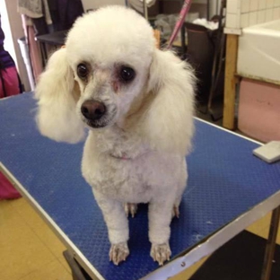 TLC Pet Shop & Grooming - Tustin, CA