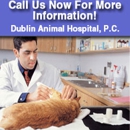 Dublin Animal Hospital PC - Jay Marshall Lord DVM - Veterinarians