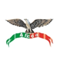 Alcoa Concrete & Masonry - Masonry Contractors