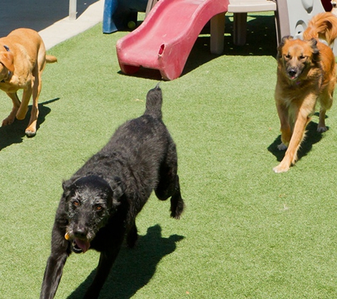 K-9 Dog Kennels - Springfield, IL