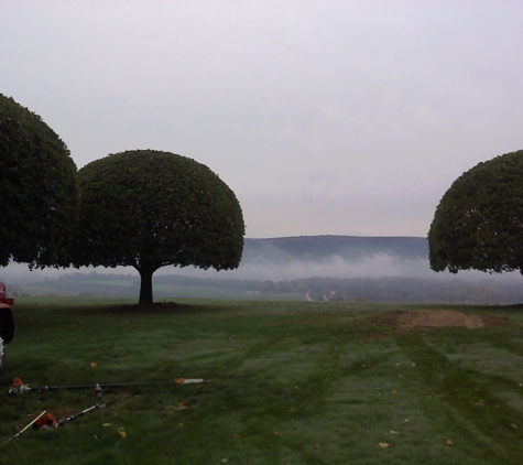 Fields Tree Service - Uniontown, PA