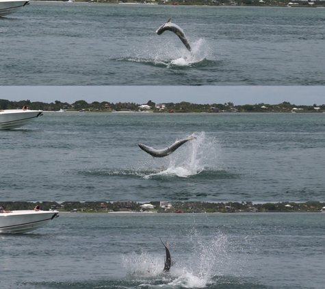 Grey Ghost Fishing Charters - Stuart, FL