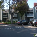 Cedar Glen Apartments - Apartments