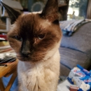 Tehachapi Veterinary Hospital - Veterinarians