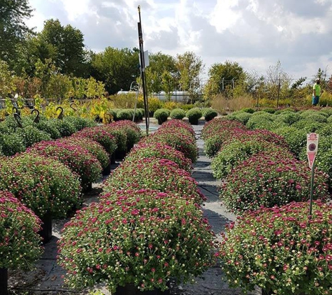 Cox's Plant Farm - Clayton, IN