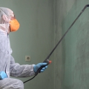 Global mold solutions llc - Mold Remediation