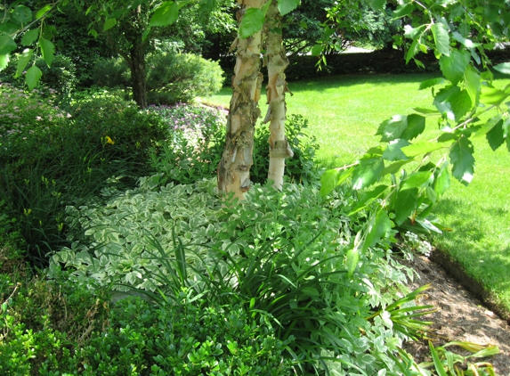 Lueders Tree & Landscape