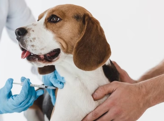 Rutherglen Veterinary Clinic - Rutherglen, VIC