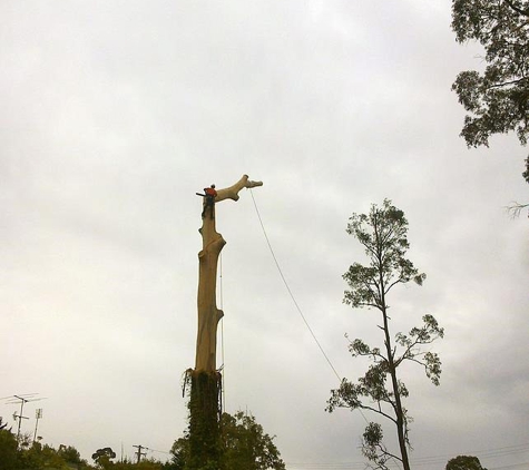 Snowy Mountains Tree Service Pty Limited - Cooma, NSW