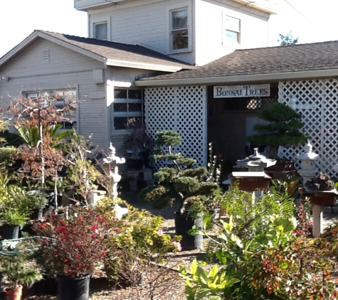 Grove Way Bonsai Nursery - Hayward, CA