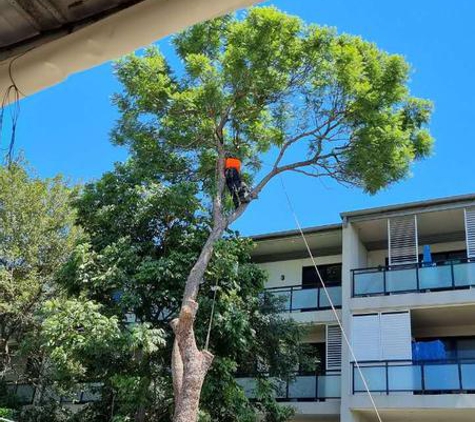 Complete Tree Worx - Wilberforce, NSW. technician and supporter