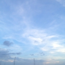 Port 32 Jacksonville at Ortega Landing - Marinas