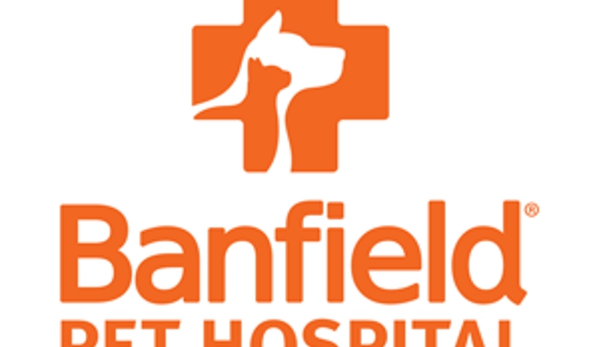 Banfield Pet Hospital - Westwood, MA