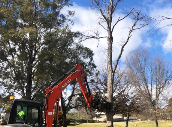 All Scale Tree Services - Mittagong, NSW