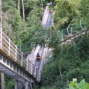Smoky Mountain Alpine Coaster - Amusement Places & Arcades
