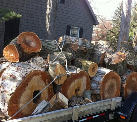 A Cut Above Tree Service - Niles, MI