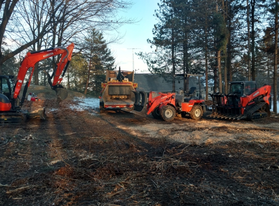 Budget Tree Service - Washington, MI