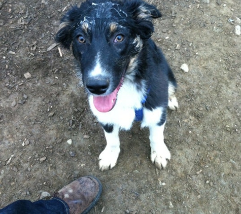 Haverford Reserve Dog Park - Haverford, PA