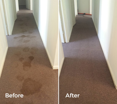 BJ's Carpet Cleaning - Lithgow, NSW