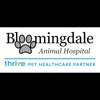 Bloomingdale Animal Hospital, A Thrive Pet Healthcare Partner gallery
