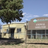 Las Vegas Animal Control gallery