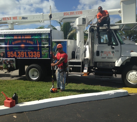 Big Al & Sons Affordable Tree Service - West Park, FL