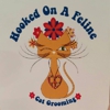 Hooked On A Feline Mobile Cat Grooming gallery