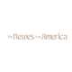 The Newes from America