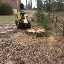 M&M Stump Grinding, LLC - Stump Removal & Grinding
