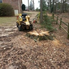 M&M Stump Grinding, LLC