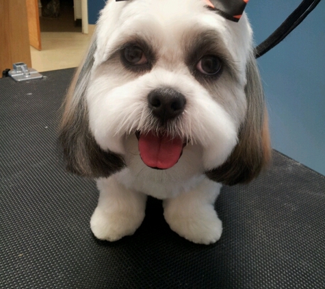 Grooming Palace - Chesapeake, VA