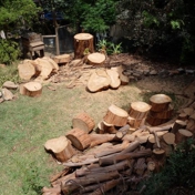 Gallery Image Number 1