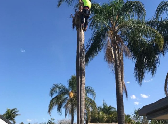 All Tree & Stump Works - Palm Beach, QLD