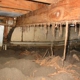 Weldon Termite & Pest Control