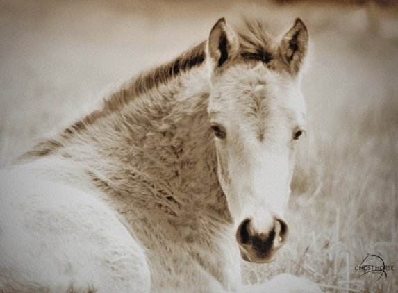 Ghost Horse Photography - Santa Fe, NM