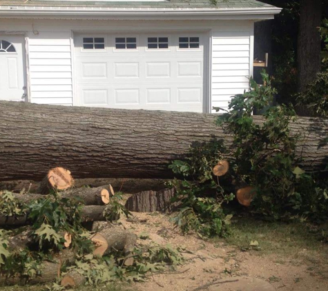 Hector tree service. - Annapolis, MD