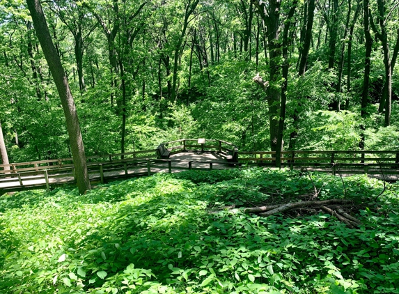 TreeRush Adventures at Fontenelle Forest - Bellevue, NE