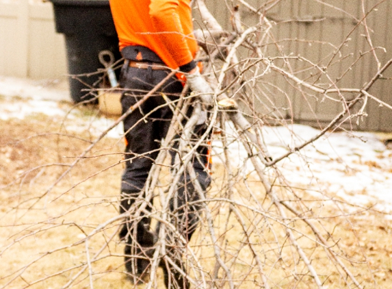 C M Tree Service & Removal - Billings, MT