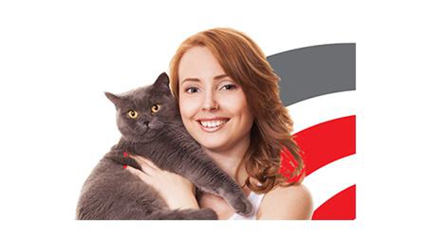 The Vet Group - Timboon, VIC