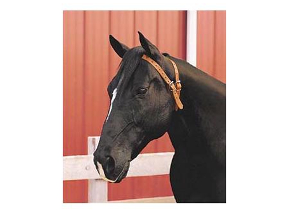 Marsh Carney Saddlery