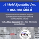 A Mold Specialist