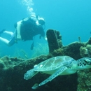 Private SCUBA Lessons - Diving Instruction