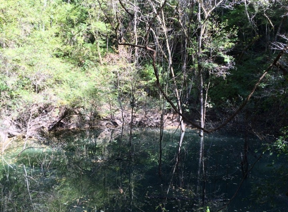 Devil's Millhopper Geological State Park - Gainesville, FL