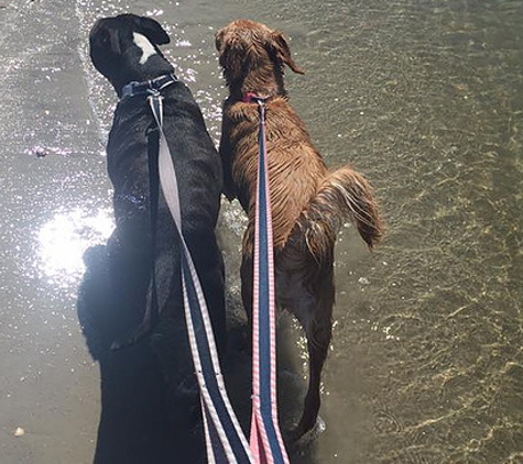 Leashes Of Love - Wilmington, NC