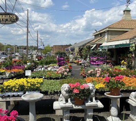 O'Brien's Farm Hill Florist & Garden Center - Stoneham, MA