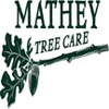 Mathey Tree Care gallery